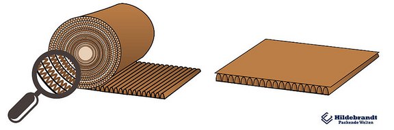 Rollenwellpappe und vorgeschnittene Bogenware