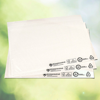 Begleitpapiertasche - LDPE-Folie mit mind. 80 % Recyclinganteil Begleitpapiertasche - LDPE-Folie mit mind. 80 % Recyclinganteil
